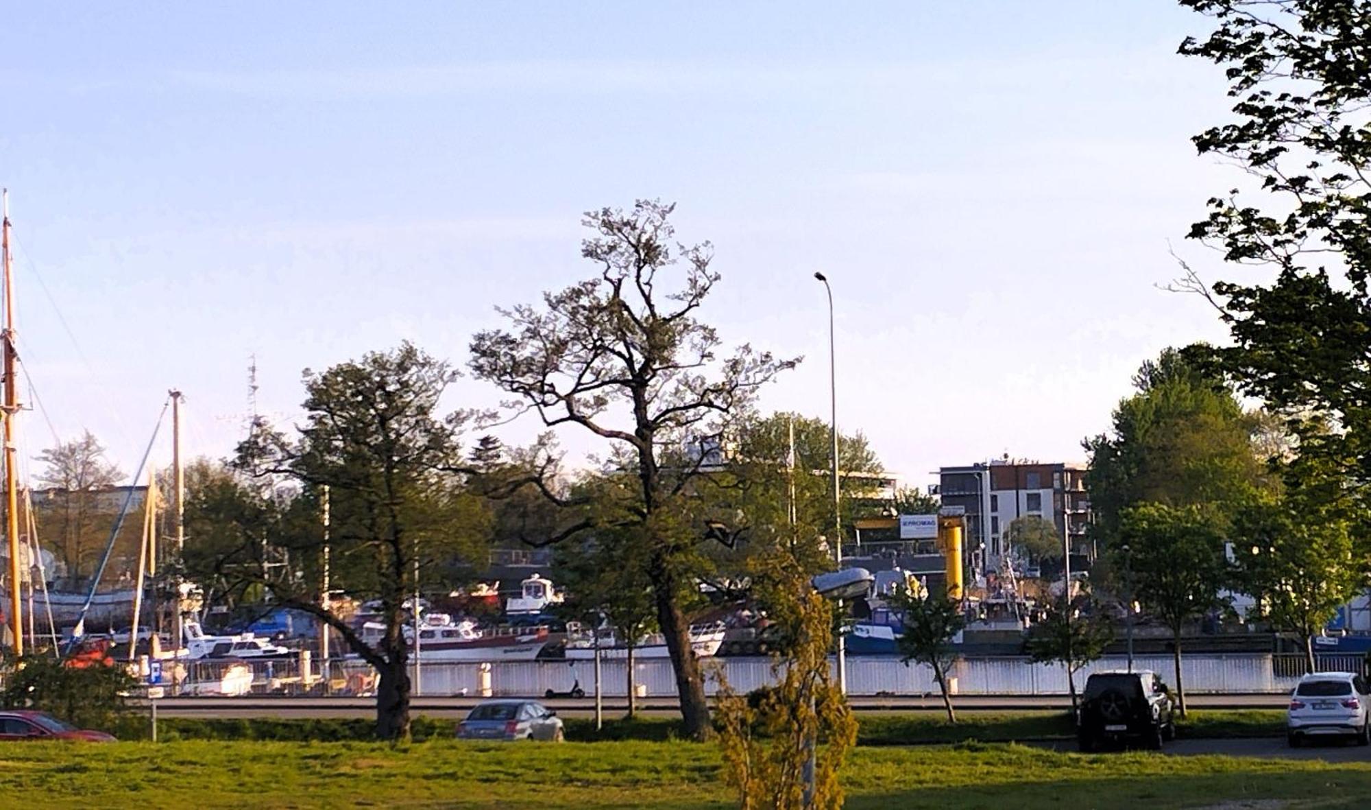 Apartament Przy Porcie Z Klimatyzacja, Garazem I Rowerami